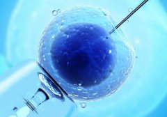 六种子宫问题对胚胎植入的影响