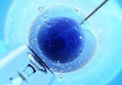 哪个胚胎的成功率高？