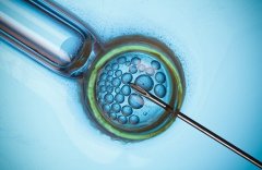子宫内膜需要什么标准适合移植？