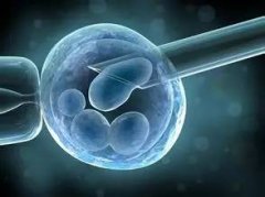 精子和卵子未结合什么原因？