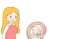 排卵期有什么症状？