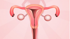 患有子宫肌瘤做试管婴儿会成功吗？