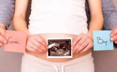 Hello IVF：备孕妈妈在饮食上需要注意什么？