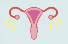 Hello IVF：做试管婴儿为什么要养好内膜?